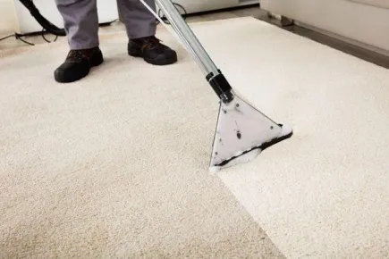 A person is cleaning a carpet with a vacuum cleaner.