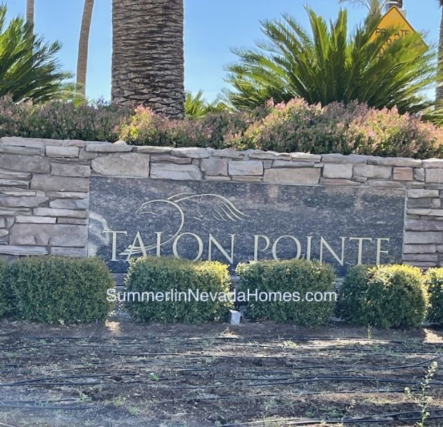 Talon Pointe