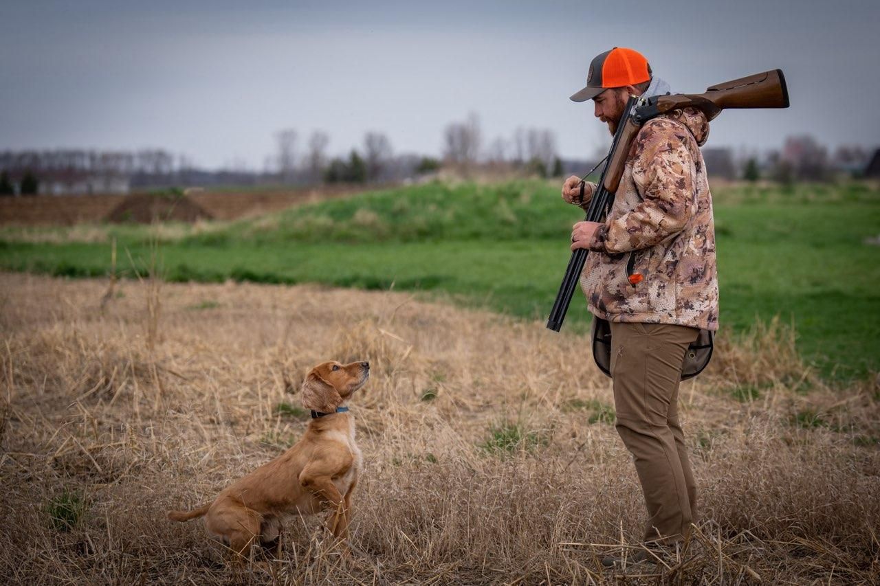 solo training for a dog