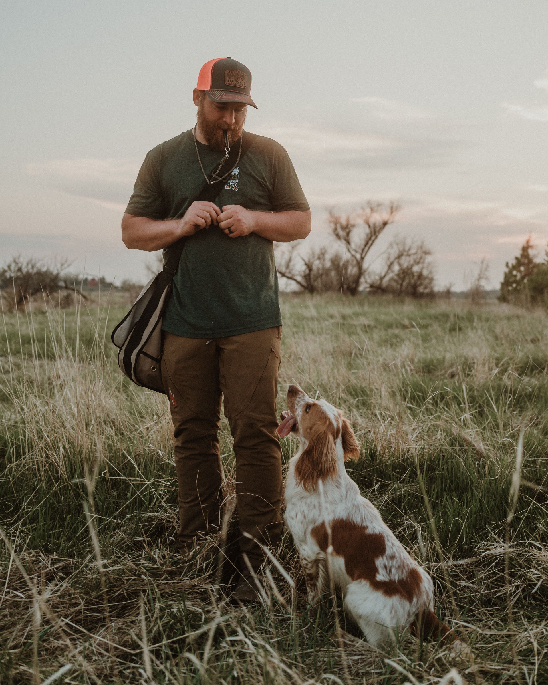 advanced dog training