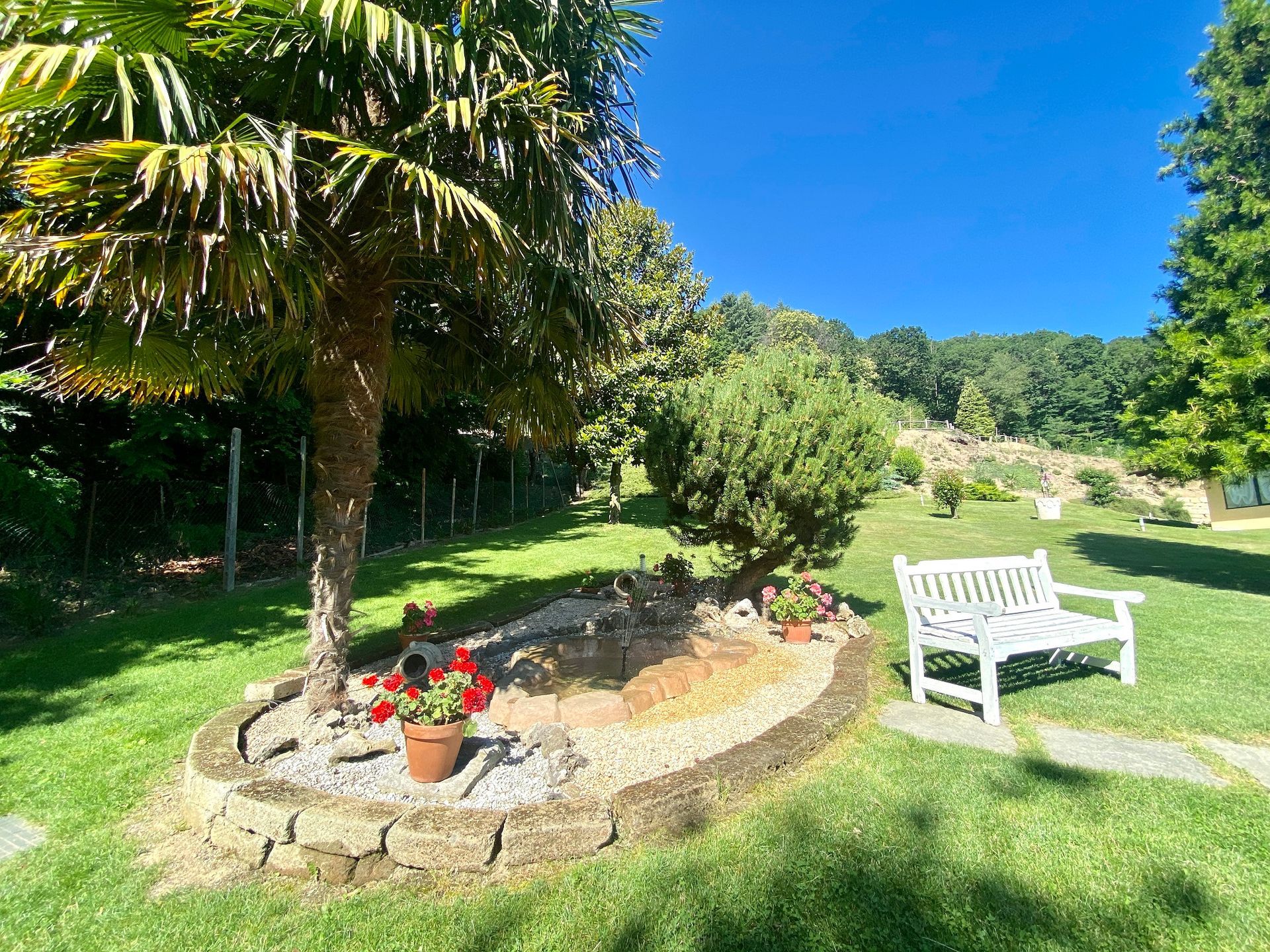 Una panchina bianca su un prato erboso accanto a una palma e un'aiuola con una collina sullo sfondo.