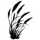 grasses icon