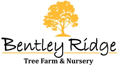 Bentley Ridge Tree Farm & Nursery logo
