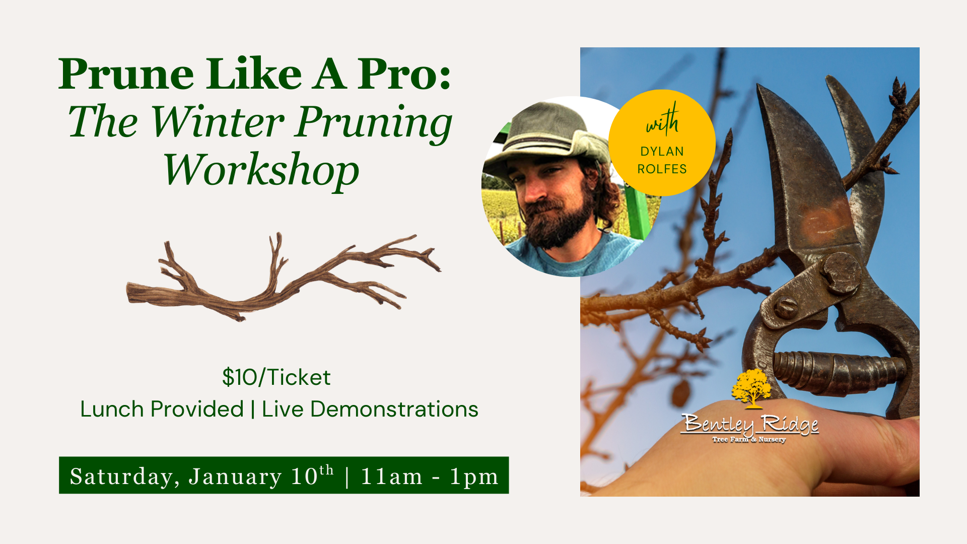 Tree pruning workshop