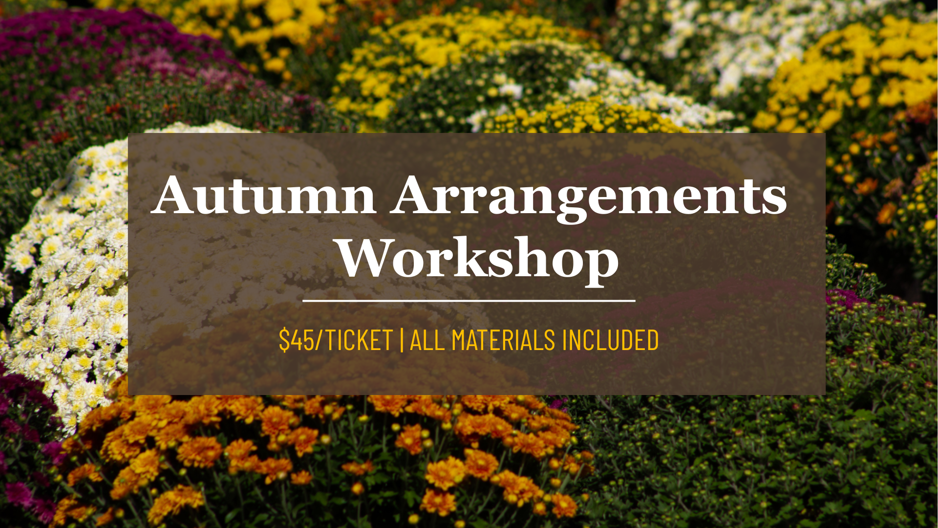 Autumn Arrangements Workshop, $45, all materials included. Colorful mums in background.