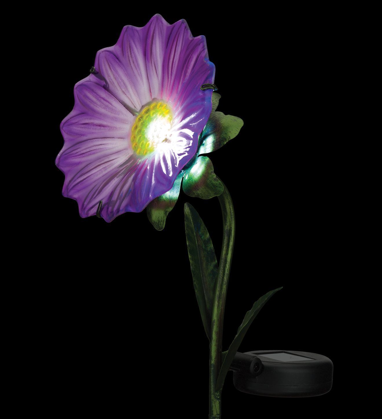 Solar Lights 12