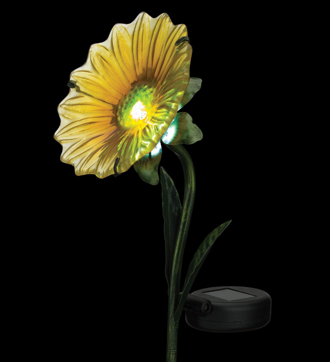 Solar Lights 13