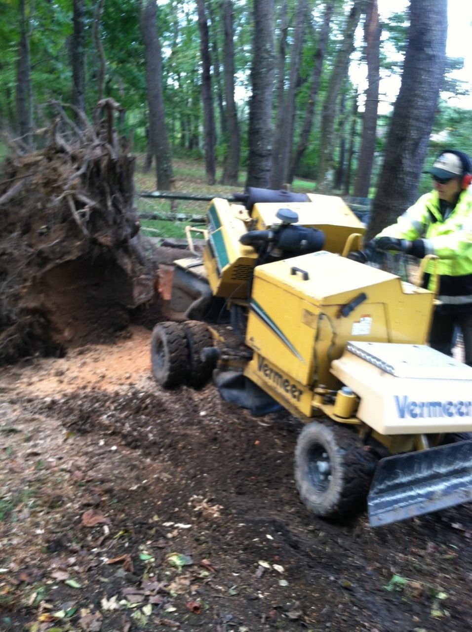 Broken Trees Clean Up — Aspinwall, PA — Keelen Bros Inc.