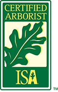 A certified arborist logo with an oak leaf on it.