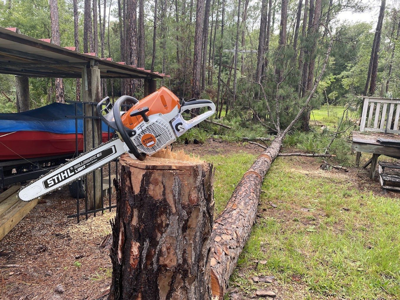A chainsaw is sitting on top of a tree stump.
