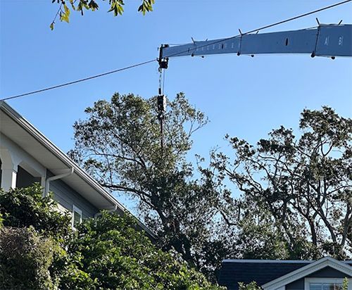 A crane is lifting a tree in front of a house.