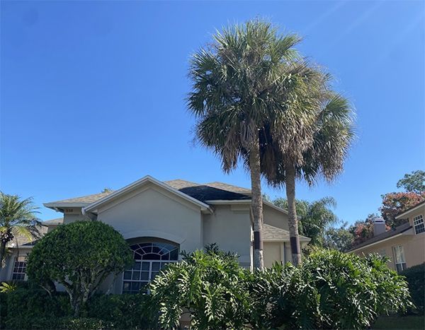 A house with two palm trees in front of it