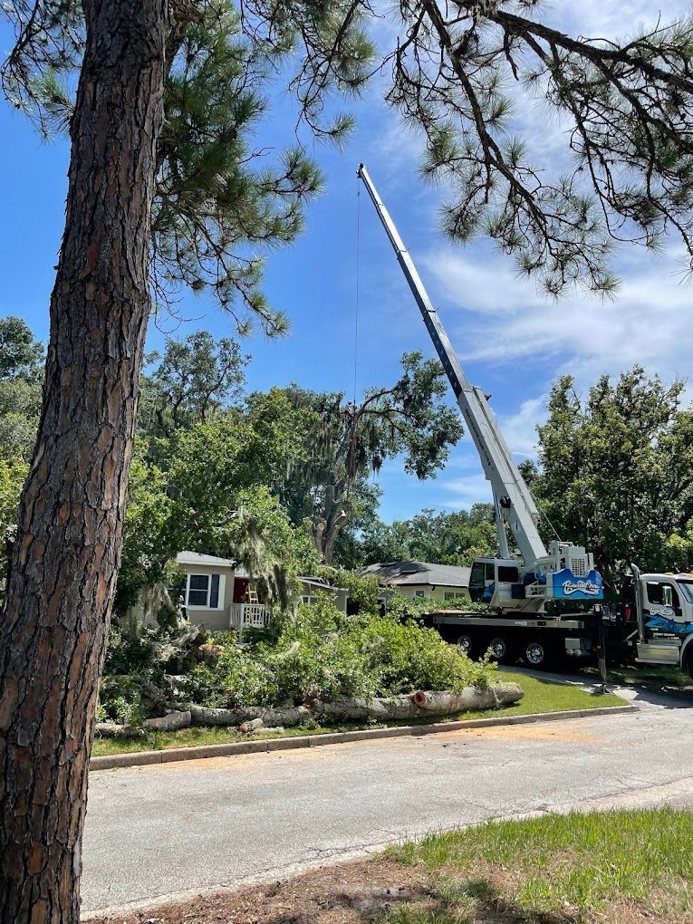 A crane is cutting a tree in front of a house.