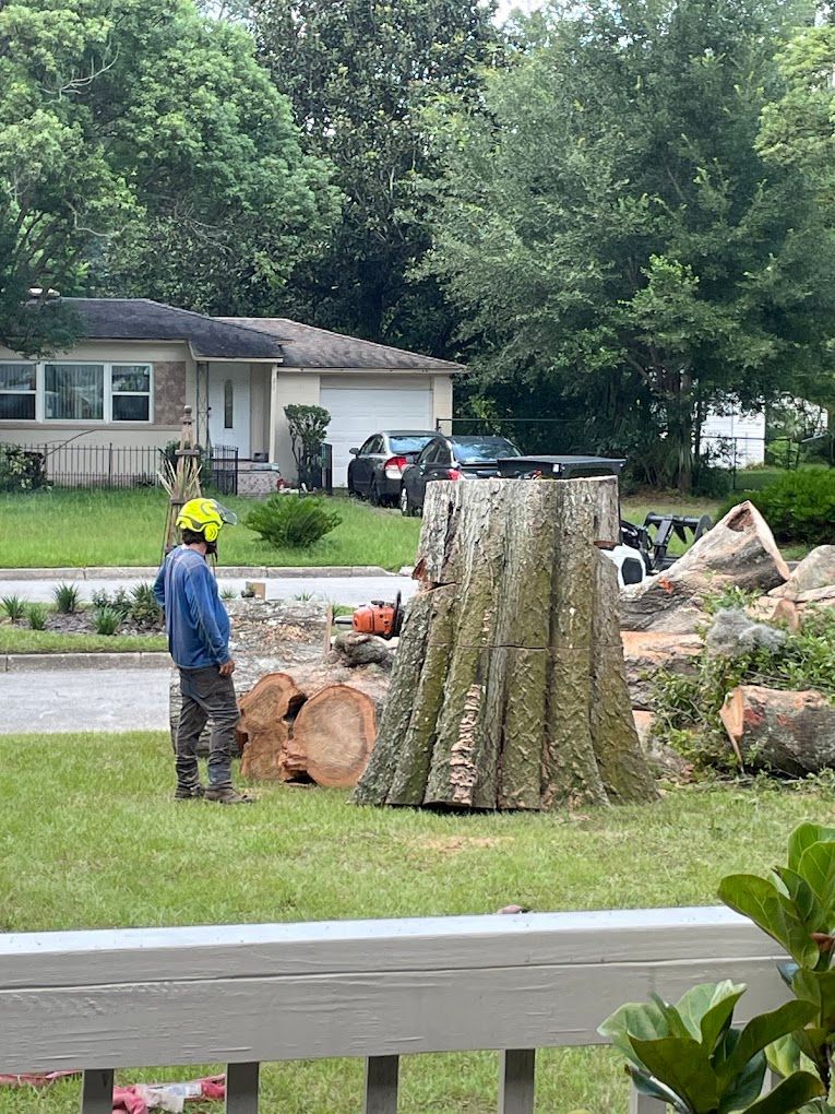 A man is standing next to a large tree stump in a yard.