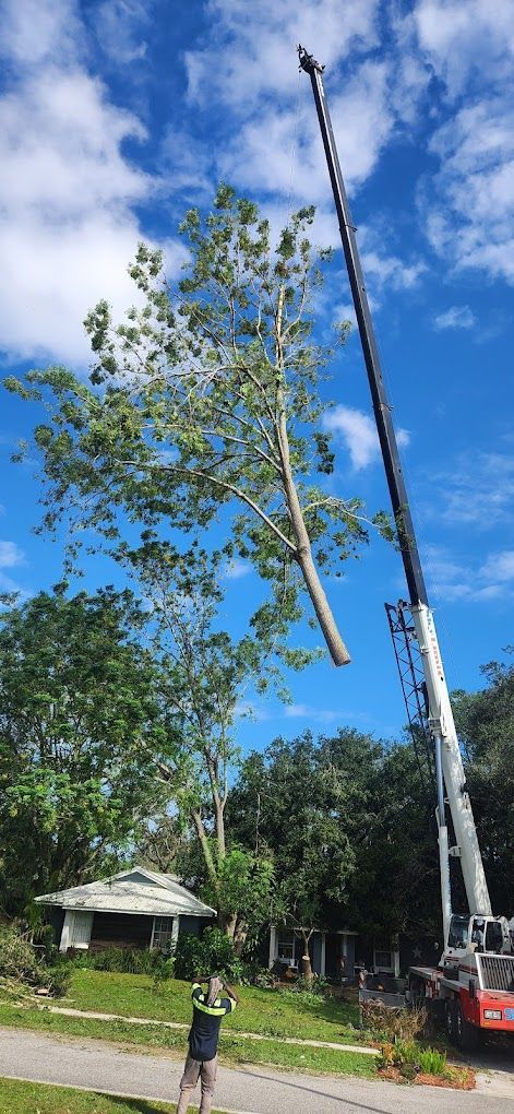 A crane is cutting down a tree in front of a house.