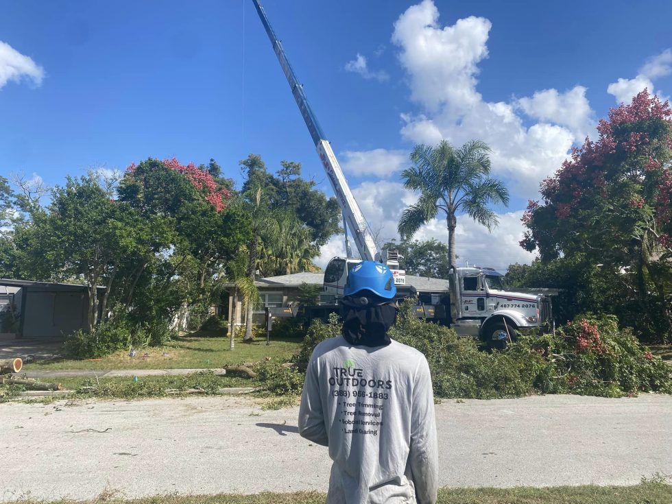 A man is standing in front of a crane in a yard.