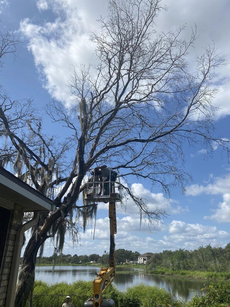 A man is cutting a tree with a crane in front of a lake.
