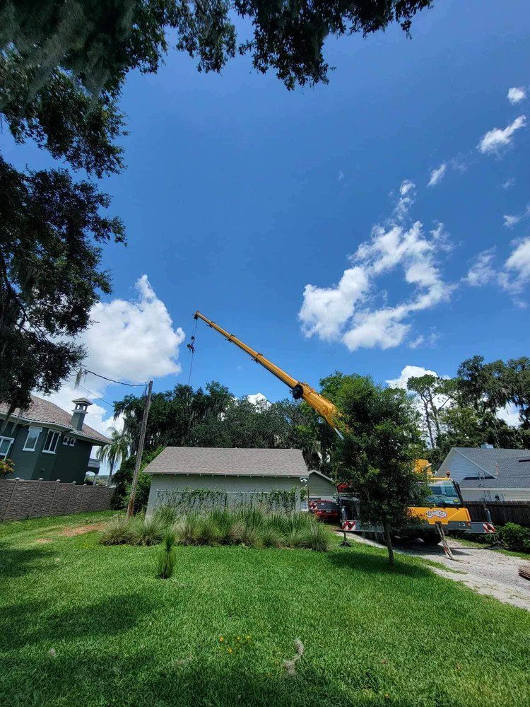 A crane is lifting a tree in a yard in front of a house.