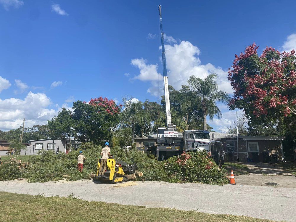 A crane is cutting a tree in front of a house.