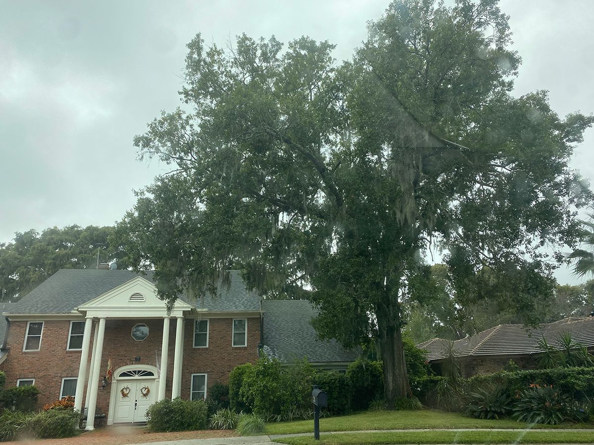 A large brick house with a large tree in front of it
