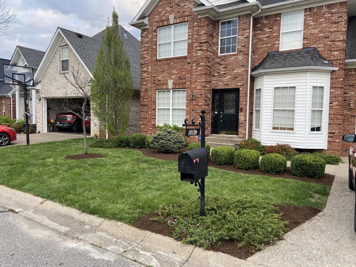 Brick House Nice Front Yard — Louisville, KY — Titan Landscape Group