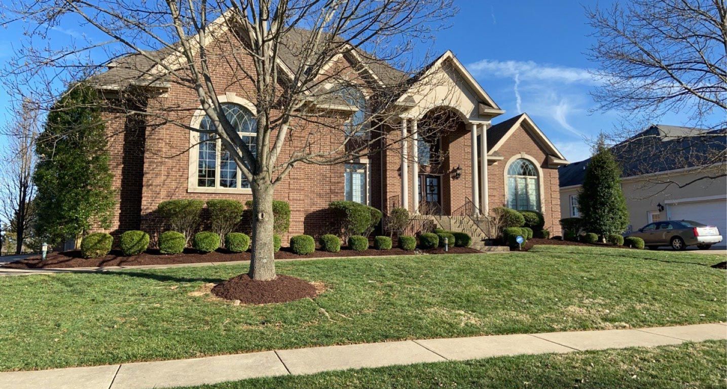 Large Brick Front Lawn With Tree — Louisville, KY — Titan Landscape Group