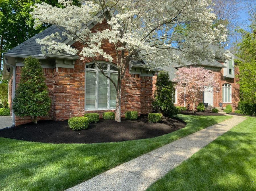 Brick House With Tree And Plants — Louisville, KY — Titan Landscape Group