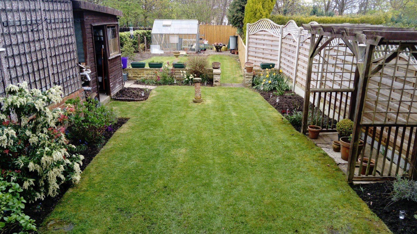 domestic lawn after mowing