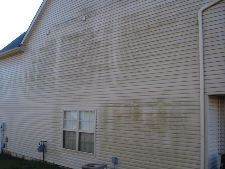 siding cleaning before