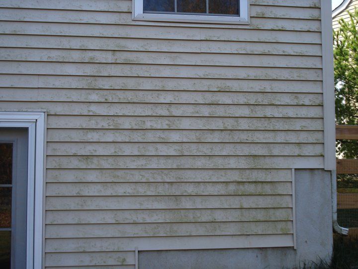 siding cleaning before