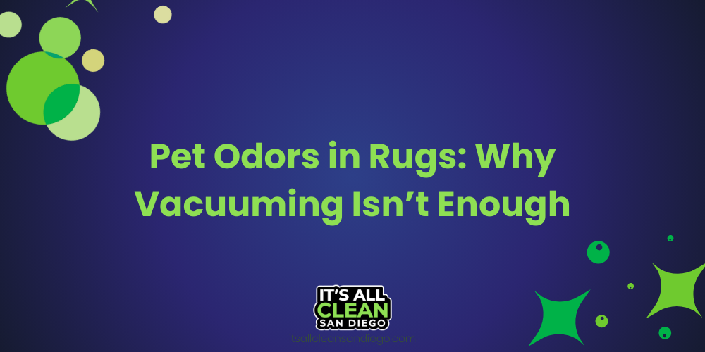Pet Odors in Rugs: Why Vacuuming Isn’t Enough