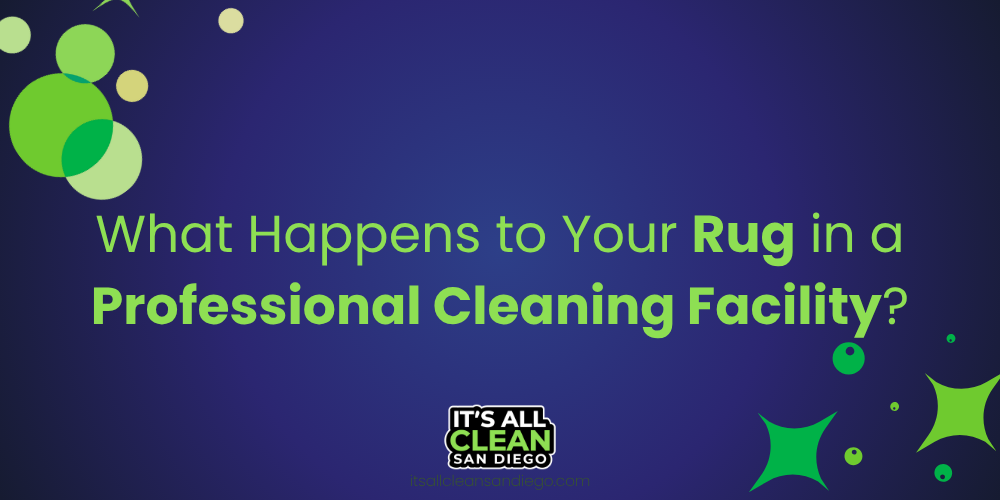 What Happens to Your Rug in a Professional Cleaning Facility?