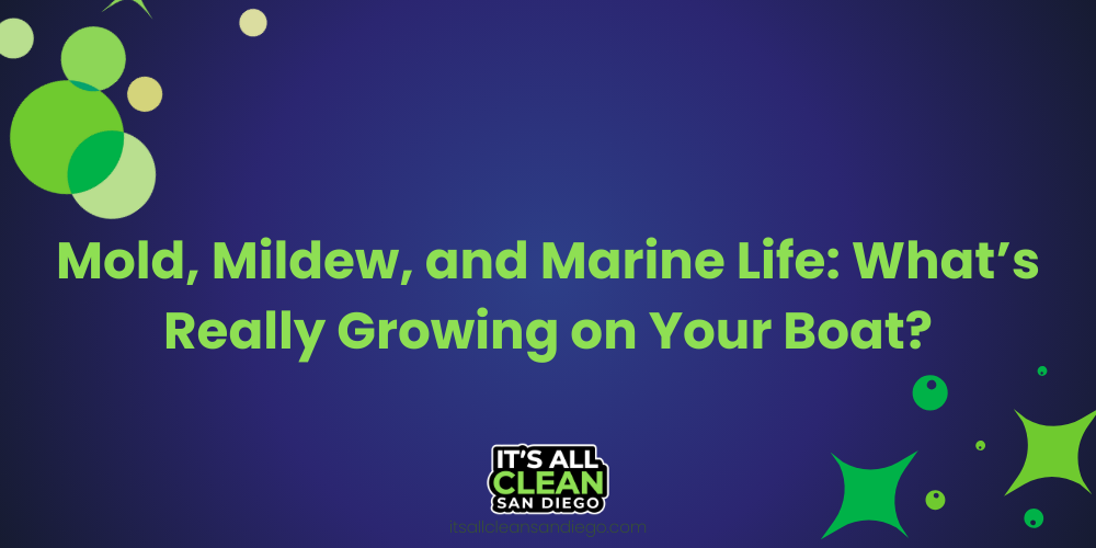 Mildew and Mold: What’s Really Growing on Your Boat?