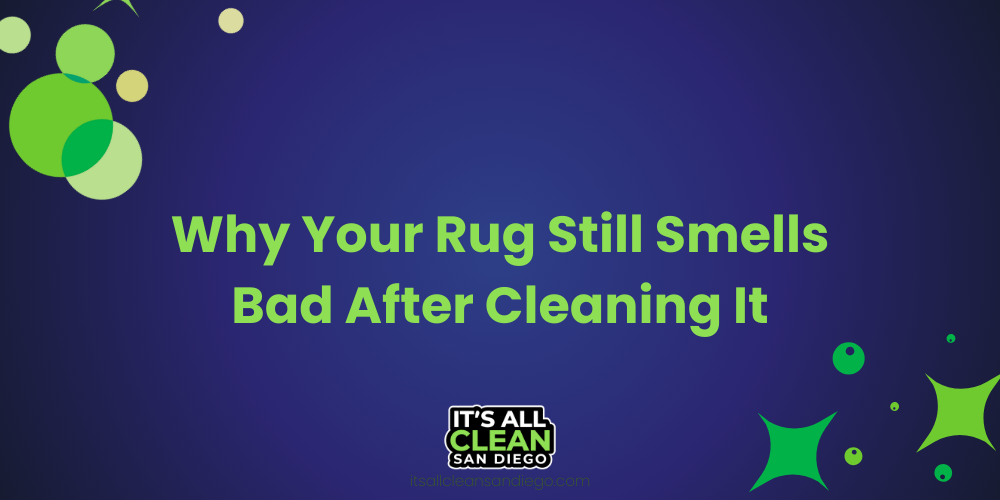 Why Your Rug Still Smells Bad After Cleaning It