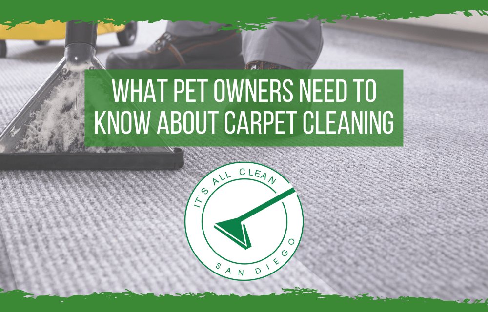 What Pet Owners Need To Know About Carpet Cleaning