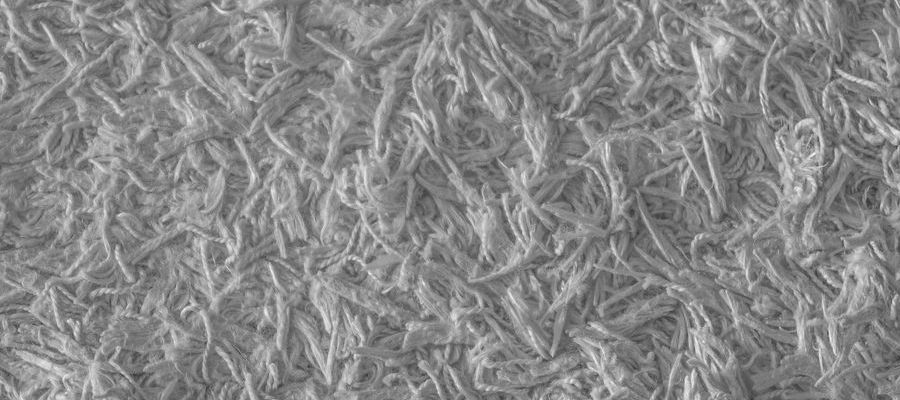 Rug Cleaning and Indoor Air Quality: What You’re Breathing In