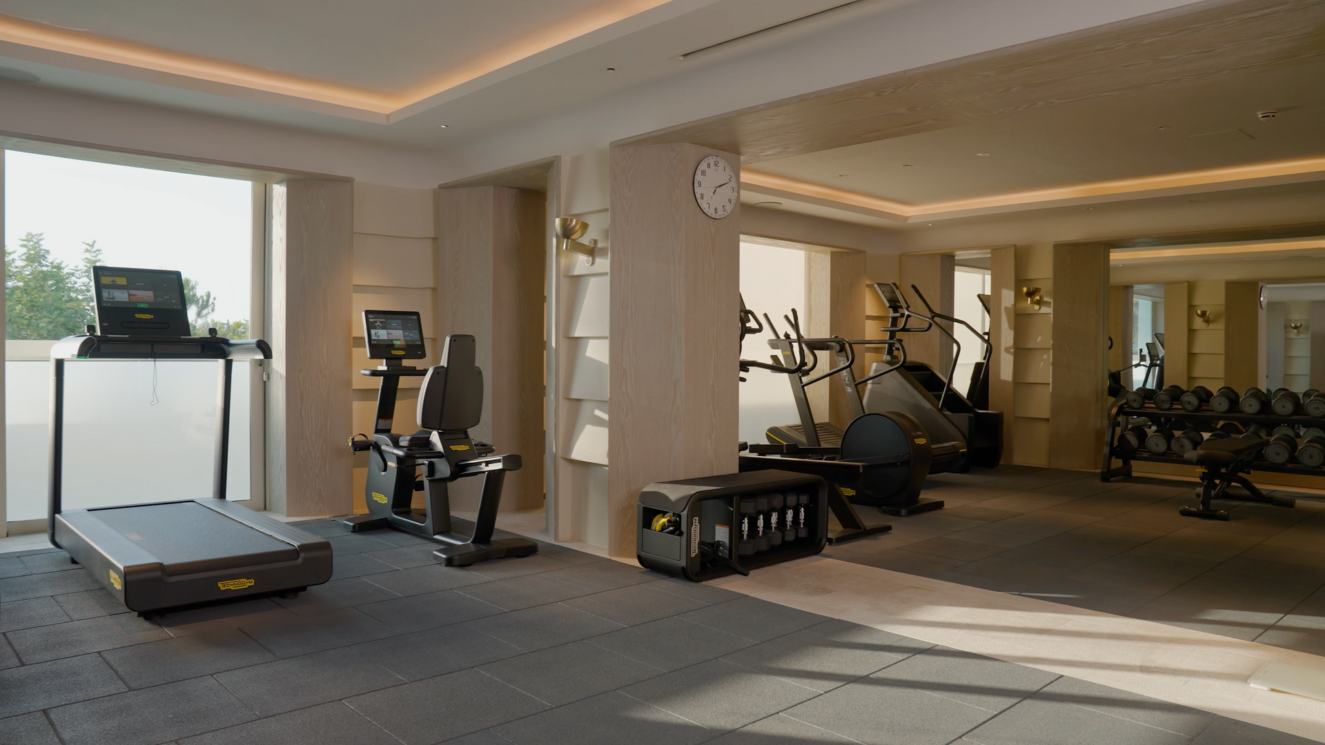 A large gym with a treadmill , exercise bike , and dumbbells.