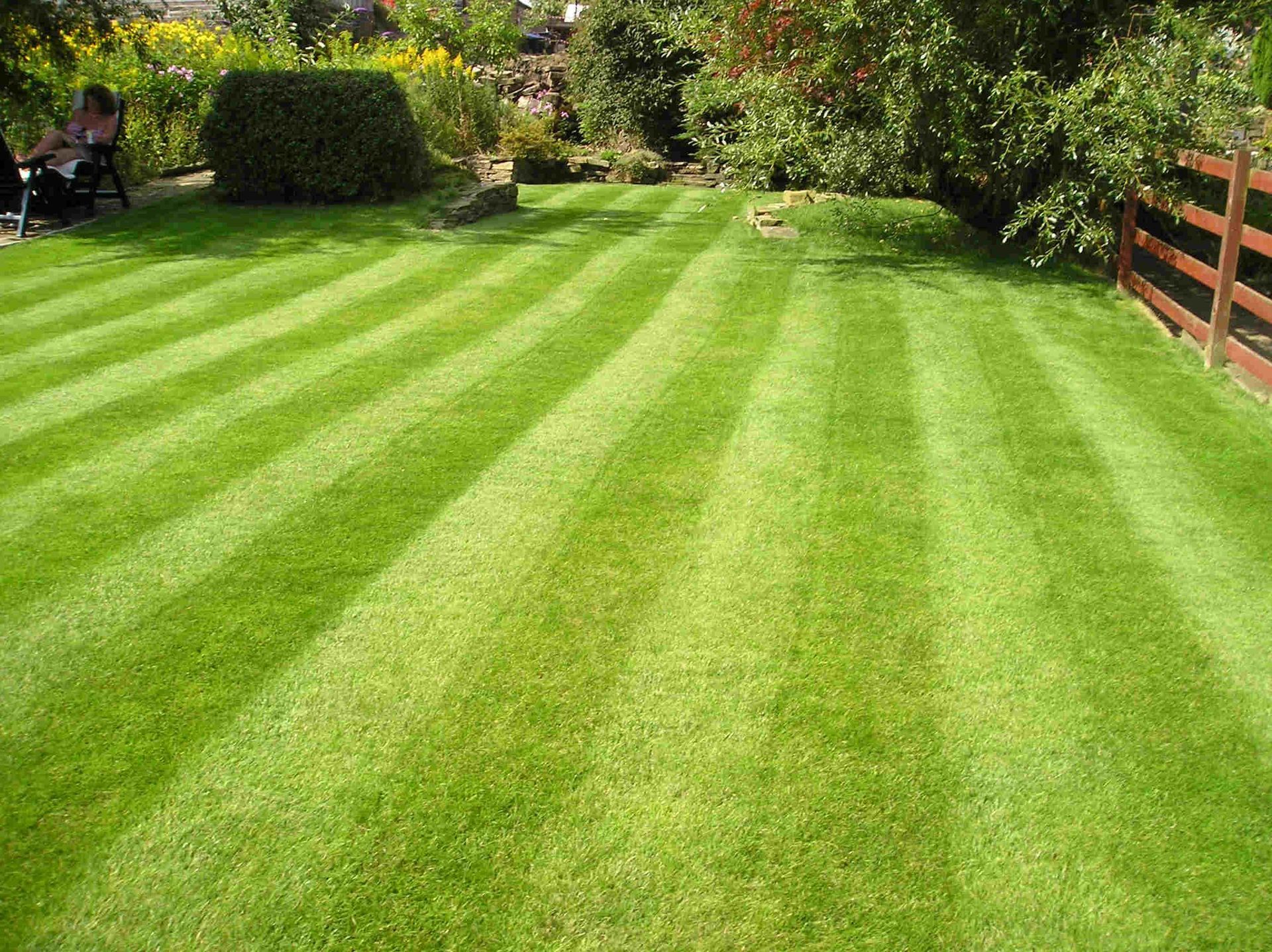 Lawn with green and striped grass; a few people sit in the background; wooden fence and trees on the right side.