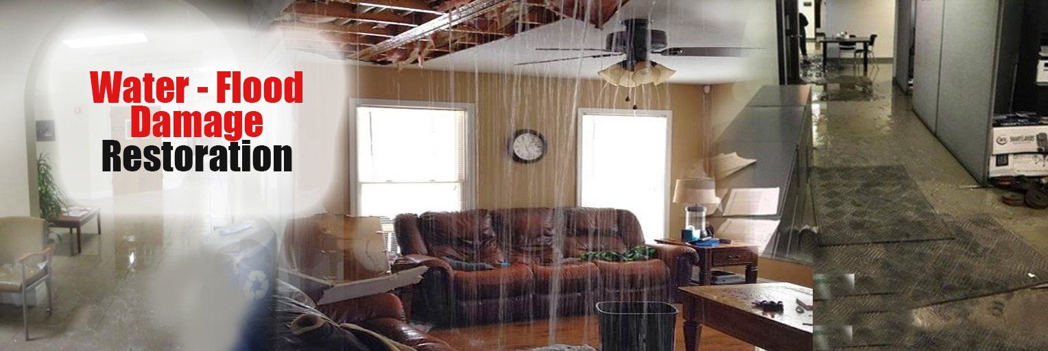 WATER DAMAGE REMOVAL