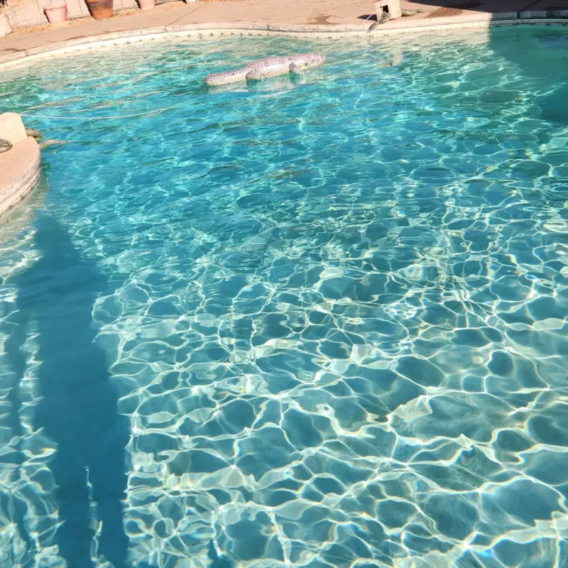 Tomao Platinum Client Pool Pic 1