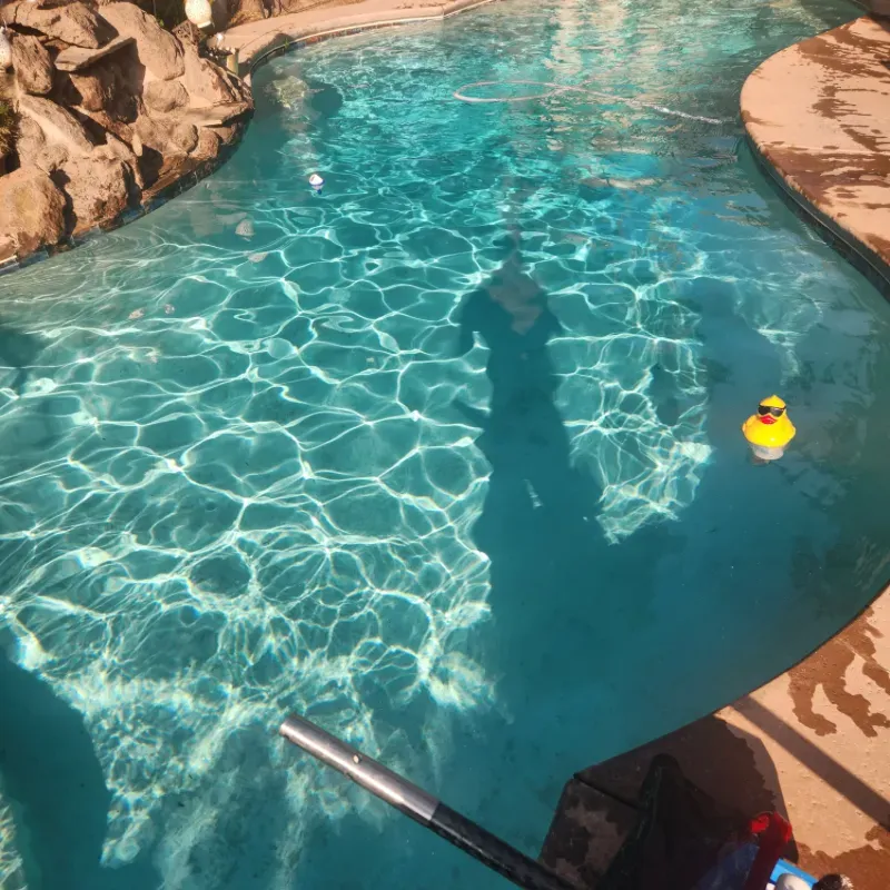 Tomao Platinum Client Pool Pic 1