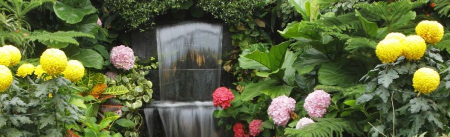 Beautiful garden