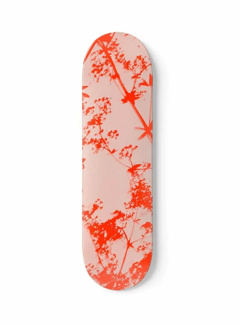 THE SKATEBIRD - CYANOTYPE