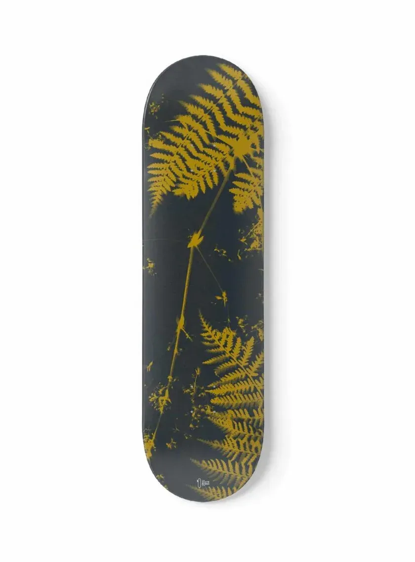 THE SKATEBIRD - FOUGÈRES