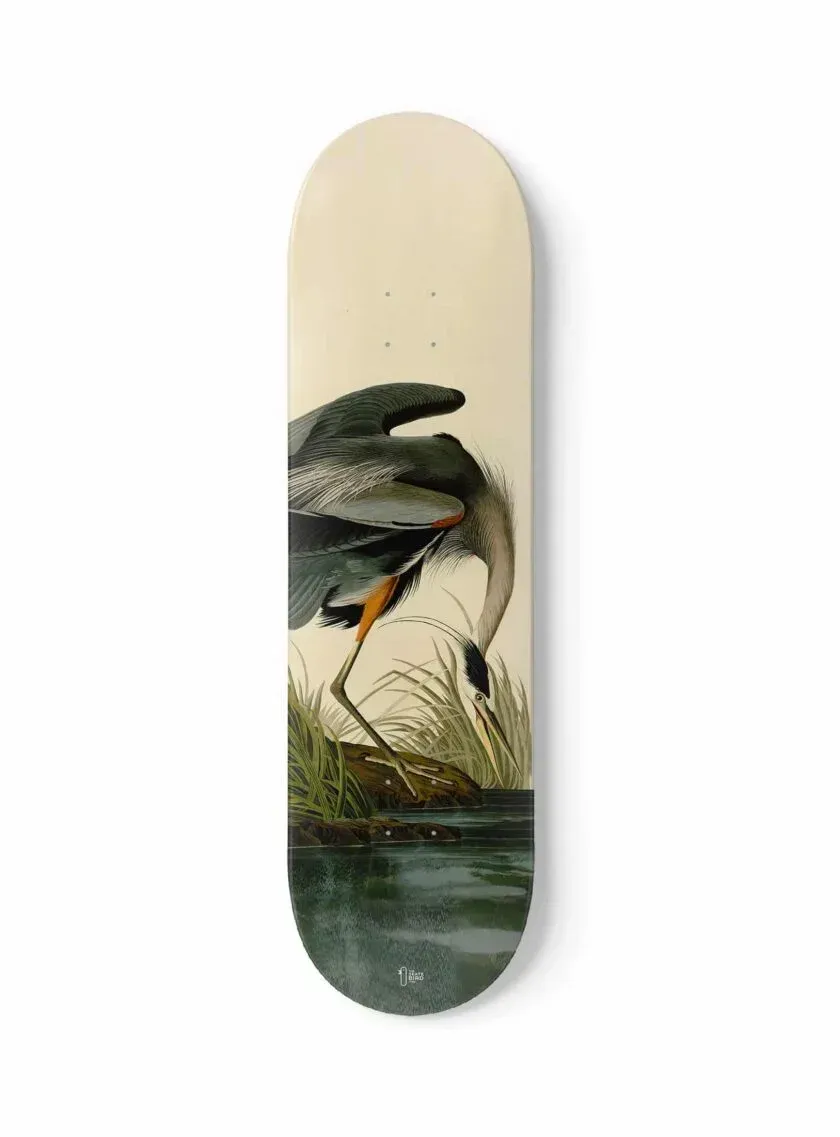THE SKATEBIRD - HÉRON