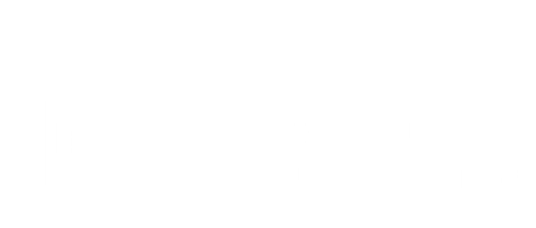 HSH Security & Automation  Logo