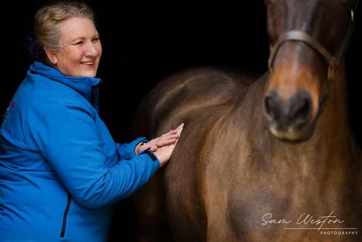 Equine chiropractic