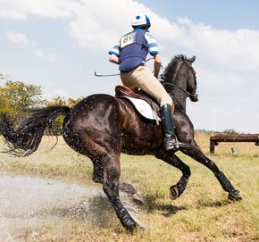 Horse riders