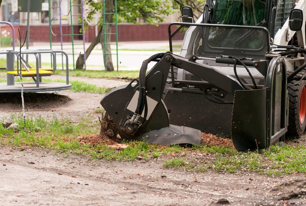 A Stump Grinder in a Park Grinding Down a Tree Stump — Airlie Tree Specialists Pty Ltd in Proserpine, QLD
