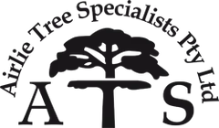 Arborist in the Whitsundays